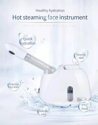 ProSpa Facial Steamer